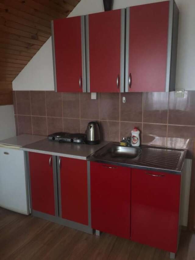 Апартаменты Apartments Andela Жабляк-50